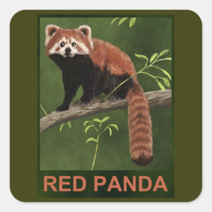Red Panda Square Sticker