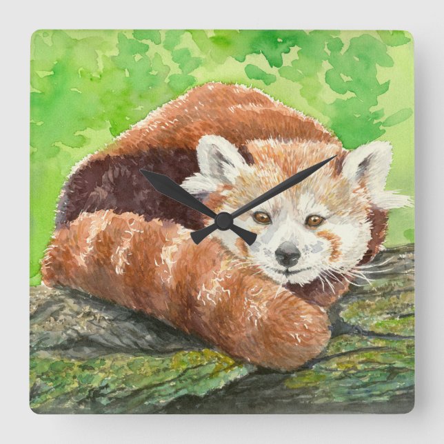 Red panda square wall clock (Front)