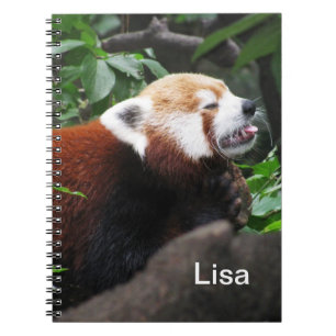 Red Panda sticking its tongue out Notebook