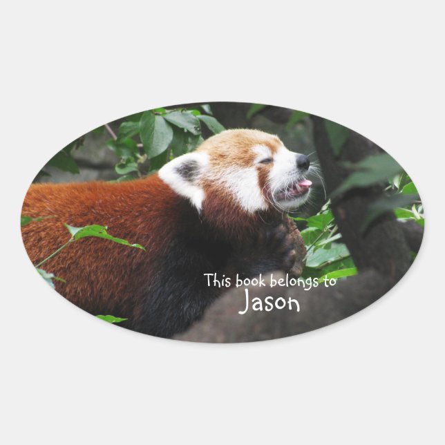Red Panda sticking its tongue out Oval Sticker (Front)