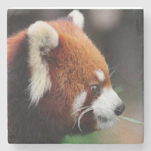 Red panda stone coaster (Front)