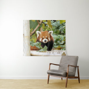 Red Panda Tapestry