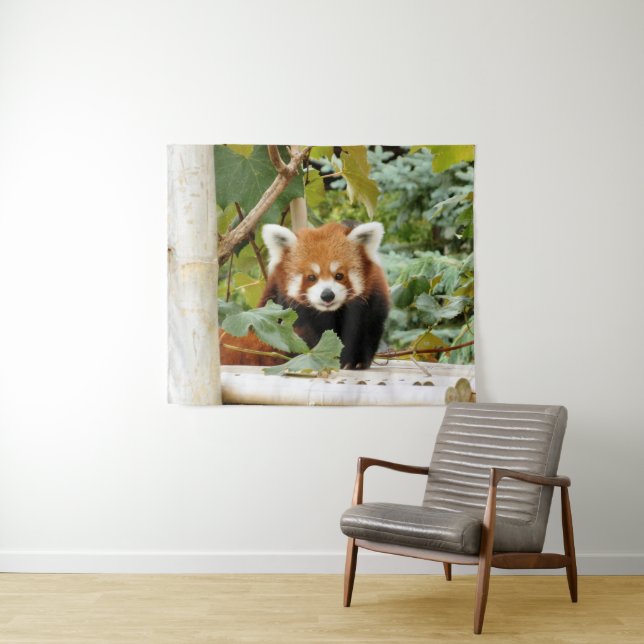 Red Panda Tapestry (In Situ (Horizontal))