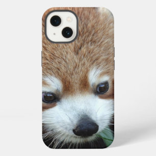 Red Panda, Taronga Zoo, Sydney, Australia iPhone 13 Case