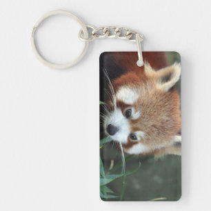 Red Panda, Taronga Zoo, Sydney, Australia Key Ring