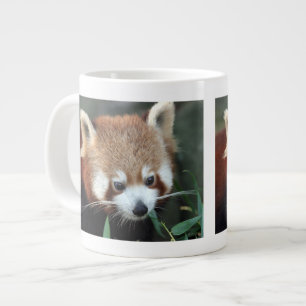 Red Panda, Taronga Zoo, Sydney, Australia Large Coffee Mug