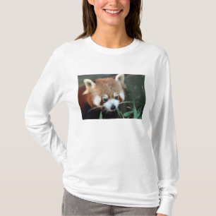 Red Panda, Taronga Zoo, Sydney, Australia T-Shirt