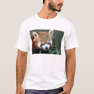 Red Panda, Taronga Zoo, Sydney, Australia T-Shirt