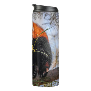 Red panda thermal tumbler