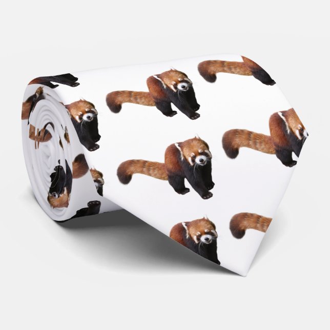 Red Panda Tie (Rolled)