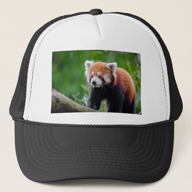 Red Panda Trucker Hat (Front)