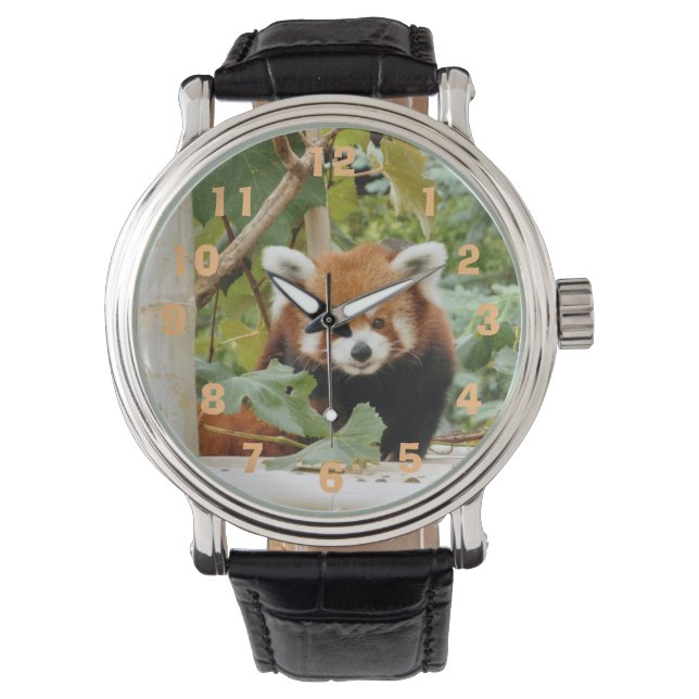 Red Panda Watch (Front)