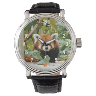 Red Panda Watch