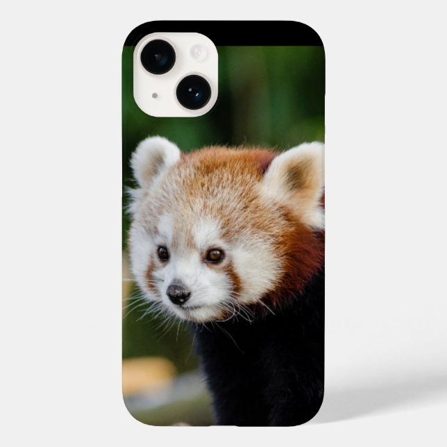 Red Panda Wild Animal Case-Mate iPhone Case (Back)
