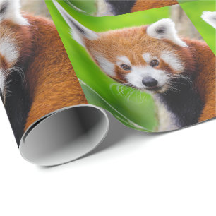 Red Panda Wrapping Paper