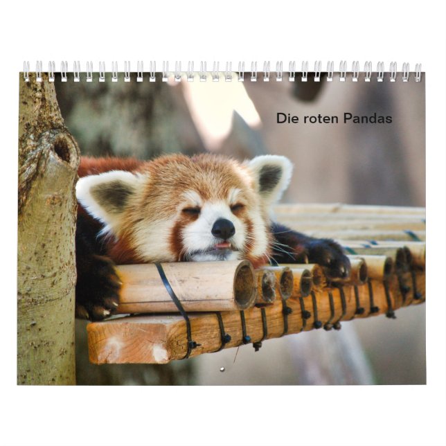 Red Pandas Calendar (Cover)