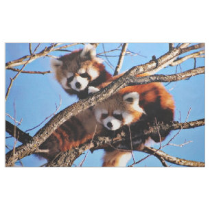 red pandas fabric