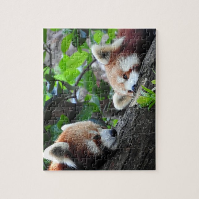 Red Pandas Jigsaw Puzzle (Vertical)