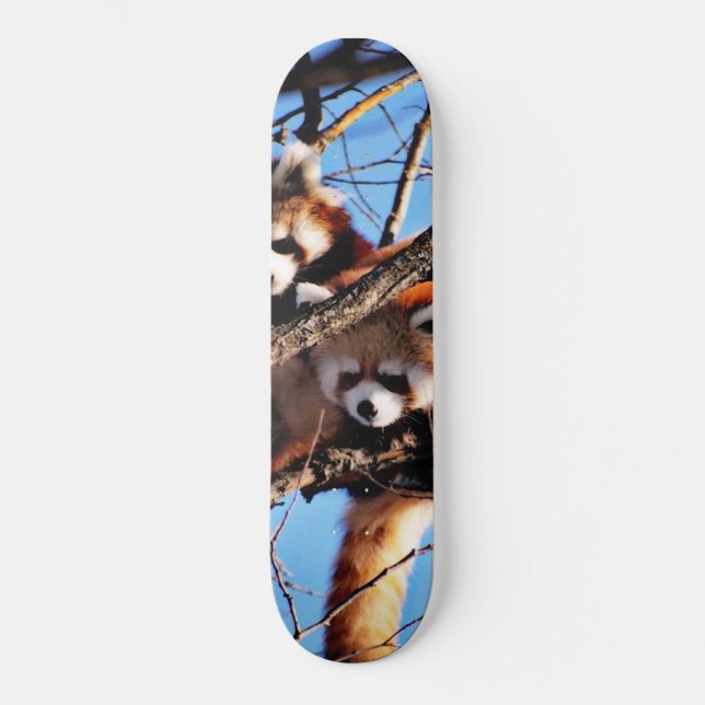 red pandas skateboard (Front)