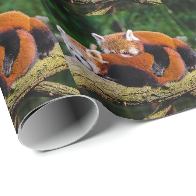 Red Pandas Wrapping Paper (Roll Corner)