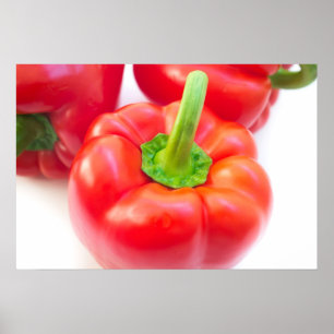Red paprika poster