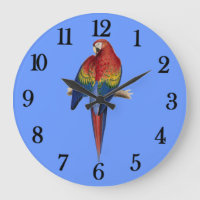 Red parrot
