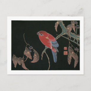 Red Parrot on the Branch of a Tree, Jakuchū Postcard