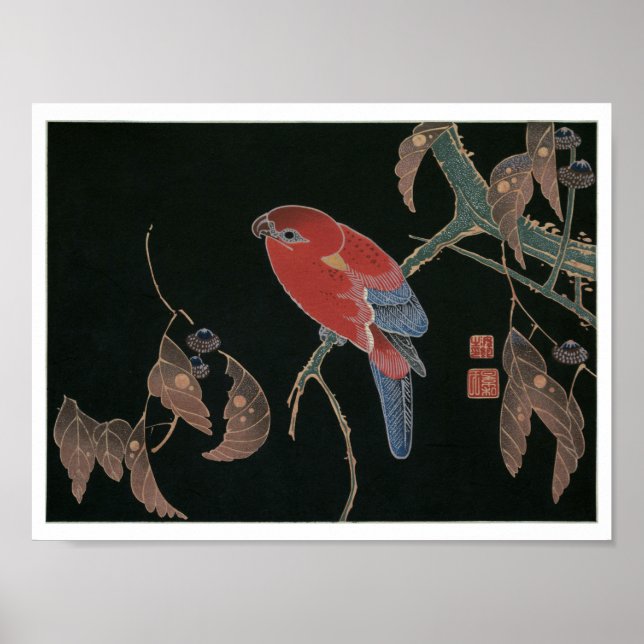 Red Parrot on the Branch of a Tree, Jakuchū Poster (Front)