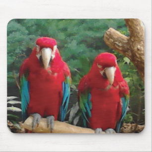 Red Parrots Mouse Mat