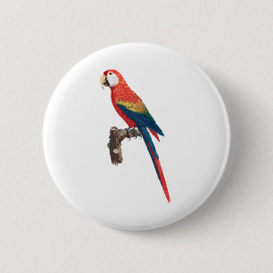 Red Parrots scarlet macaw bird 6 Cm Round Badge
