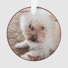 Red Pawprint Filled Heart Shape, Pet Quote, Name Ornament