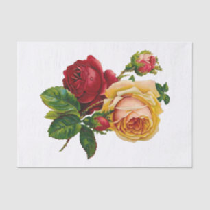Red, Peach and Pink Roses  Tissue Paper