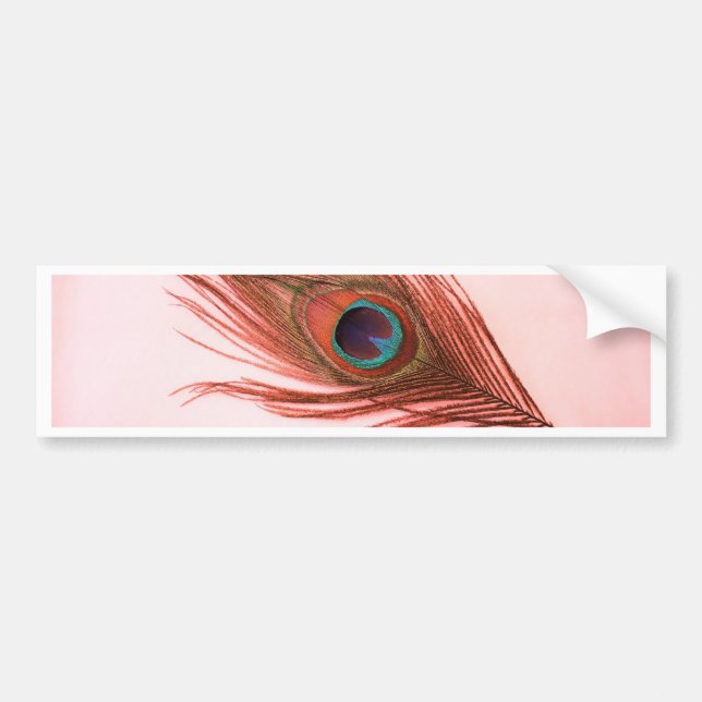 Red Peacock Feather Bumper Sticker (Front)