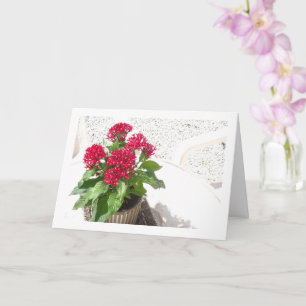 Red Pentas, Egyptian Star Flower Card
