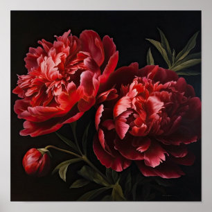 Red Peonies Flower Art Print Poster