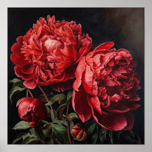 Red Peonies Flower Art Print Poster