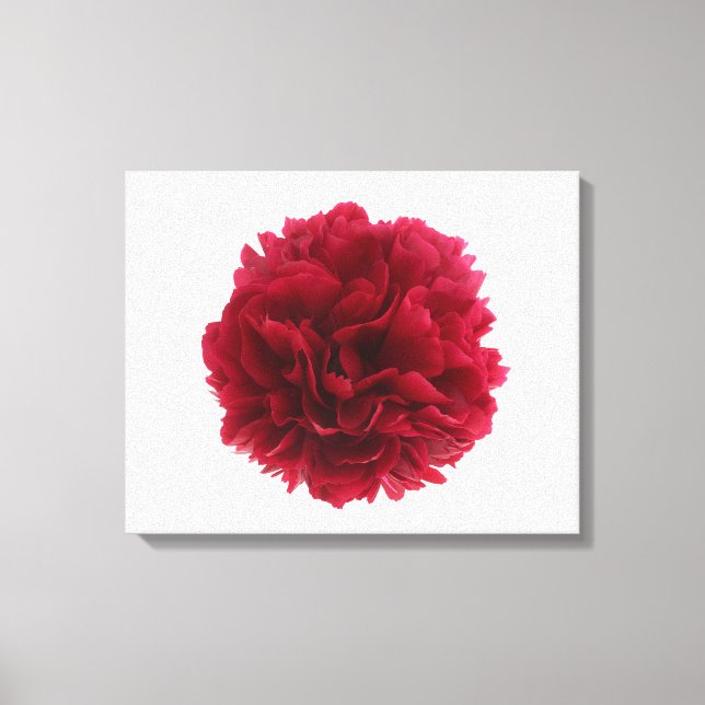 Red peony canvas print (Front)