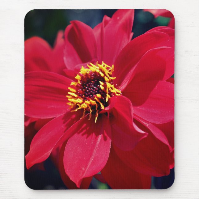 Red Peony Flower  Mouse Mat (Front)