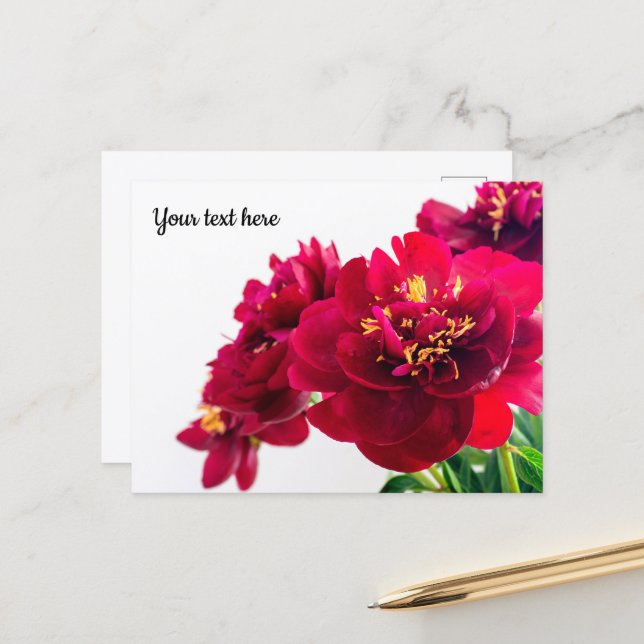 Red Peony Postcard (Front/Back In Situ)