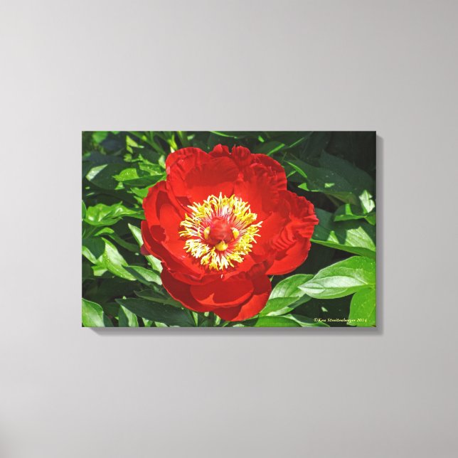 "RED PEONY"  PREMIUM WRAPPED CANVAS GLOSS PRINT (Front)
