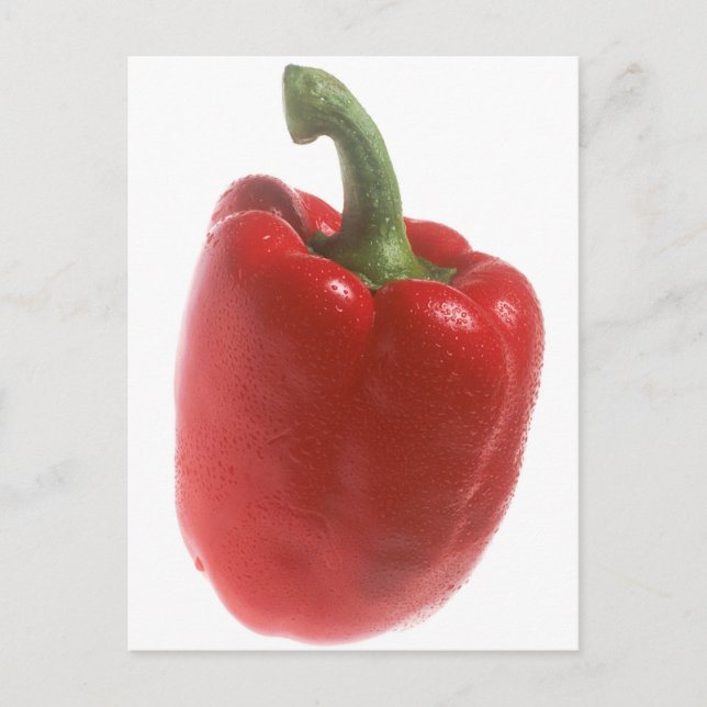 Red Pepper Postcard (Front)