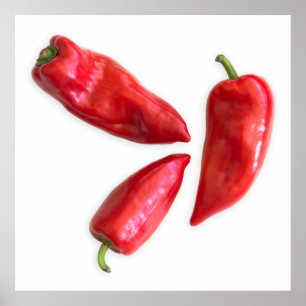 Red pepper poster