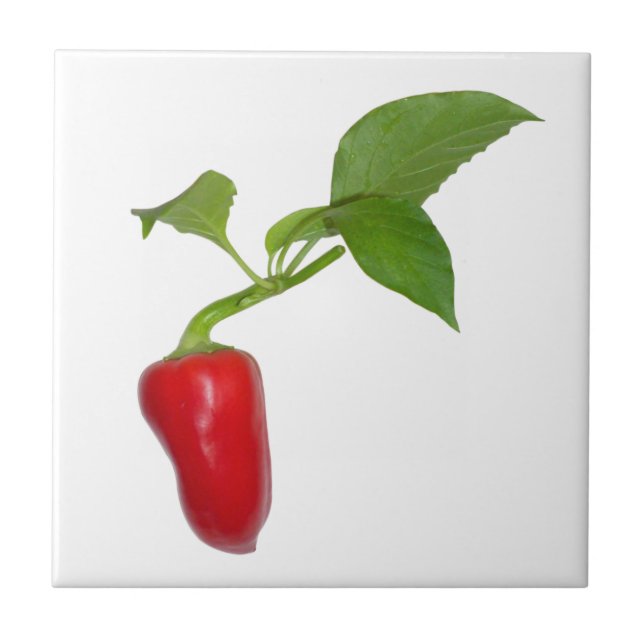Red pepper tile (Front)