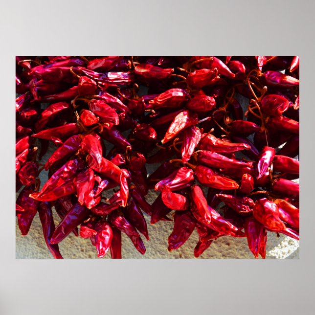 Red peppers drying in the sun Hungary Poster (Front)