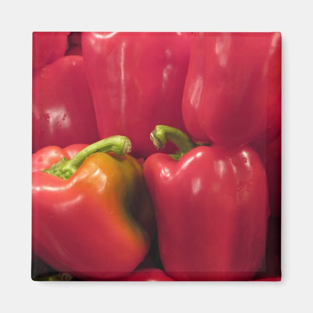 Red Peppers... Magnet (Front)