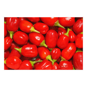 Red Peppers Photo Print