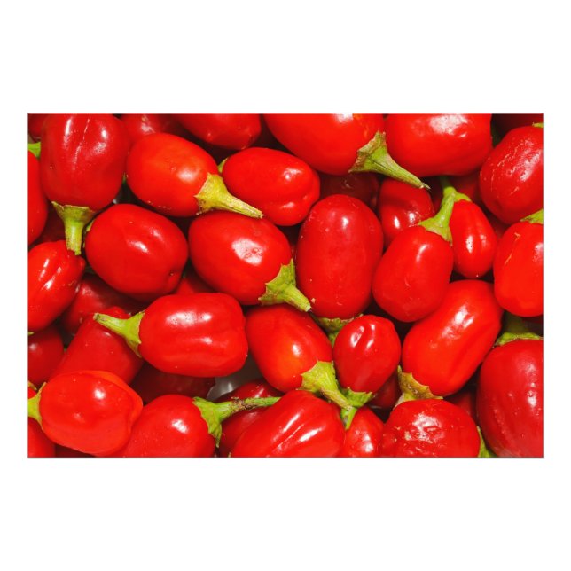 Red Peppers Photo Print (Front)