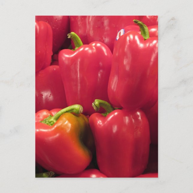 Red Peppers... Postcard (Front)