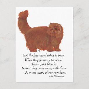 Red Persian Cat Rainbow Bridge Postcard