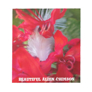 Red Petal Feather Art Print Notepad